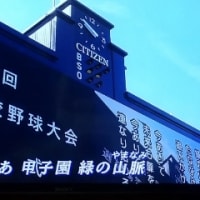 センバツ高校野球が始まりました❗️