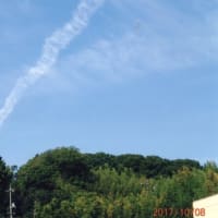松江ゼロ磁場29の不思議現象　日本の宝　氣パワー開運引き寄せスポット　閲覧1000件超える（2月23日）