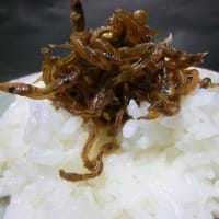 春の風物詩