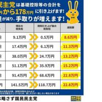 玉木雄一郎代表が１０３万円の壁にこだわっているのも、消費税減税が必要ないと急に言い出したことにも理由がある。連合所属の大企業の労働組合を支援団体とする国民民主党は高所得者層の利益しか考えていないのだ。