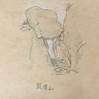 20250615 筑波山