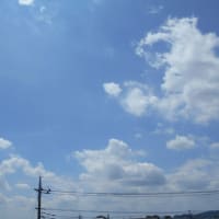 九州～近畿の梅雨明け～ (ﾉﾟοﾟ)ﾉ 　七尾のフレンチパピロ～♪