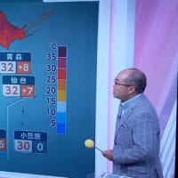 暑さにかまけて