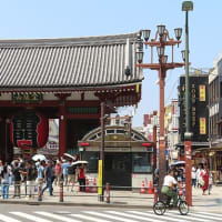 東京浅草・浅草寺ほおずき市