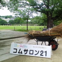 11月のご案内