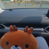 大アサリはどこで売ってるんですか〜…