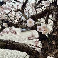 高額療養費自己負担限度額