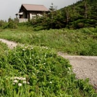 ２０２５年７月９日　北八甲田　赤倉岳・井戸岳のようす