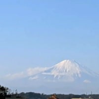 10選シリーズ『富士山』