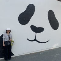 パンダの旅（韓国）　その３