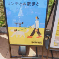 横浜にバラを見に行く 2025.5.5