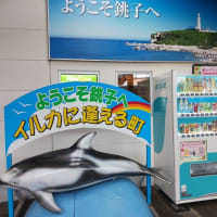 ちょちょっと銚子に