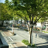 連休報告、営業時間、庭の花のこと