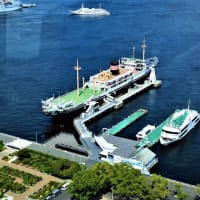 ２０２２・９・６　横浜マリンタワー。程よい高さだったんだな。