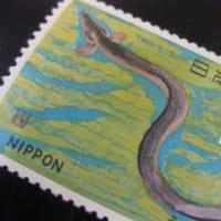 本日、7月19日は「土用丑の日」です～