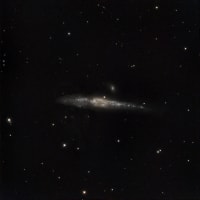 GC4631 棒渦巻銀河