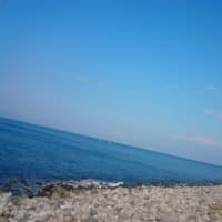 むいとしょく。
