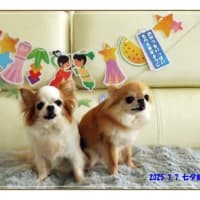 お誕生日会✨🎁🎂