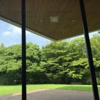 帰ってきてくれてありがとう泉屋博古館