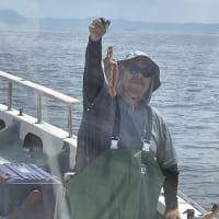 スルメもチェリー！！今日は反応少なめでした。