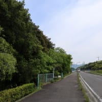 瀬戸内国際芸術祭2025　瀬戸大橋エリア　旧瀬居小学校　令和7年5月15日