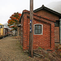 トロッコわっしー号