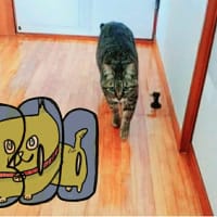 これまでのお話