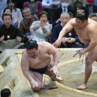 相撲 138番 『尊富士 110年ぶりの新入幕優勝』
