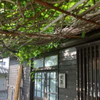 名山300登山　27/300 脊振山（佐賀県）