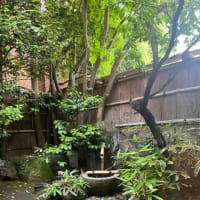 お蕎麦