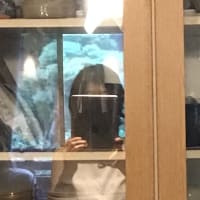 なんだか分からないもの