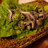 ダメ出しに負けない。