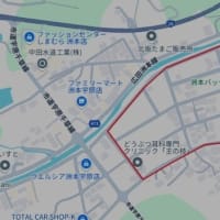近くの周回コースを10.5km・・・