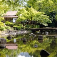 小石川後楽園（７）