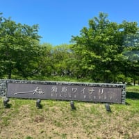 ブログのお引越し考え中です〜