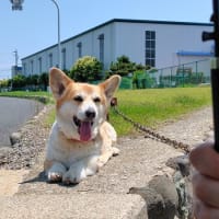 1年ぶり・・・