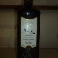 ★宅飲み用　マティーニ？？？の素