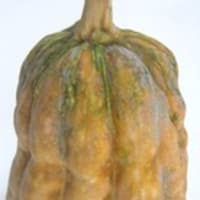 干し野菜