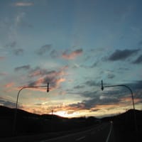 君にkissを。渇いた粘膜で。