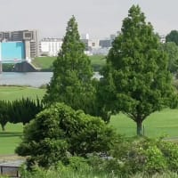 明日の株式投資　　　アメリカ1極から分散へ　　令和07年03月15日（土曜日）　10時51分