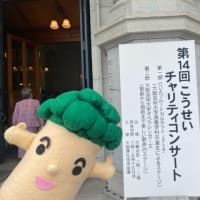 第14回CO-SEIチャリティコンサートに行ってきたよ！