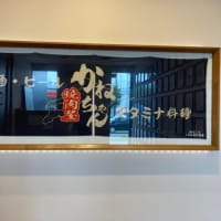 幌見峠ラベンダー