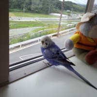 旅立ちから3ヶ月半