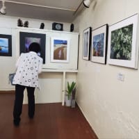 『美しい景観 写真展』開催中‼️