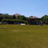 桜島の溶岩なぎさ公園足湯（鹿児島市）はとてもオススメ！