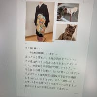 犬と猫との暮らし～正絹地で吹留真綿入り袖なし軽くて着心地抜群!!