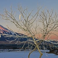 新年の富士山．２・忍野他