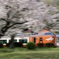 お花見と旬の列車