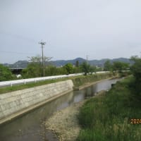 吉敷川の下流240428