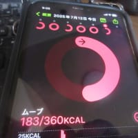 夕方と朝のウォーキング。7月11日と12日。